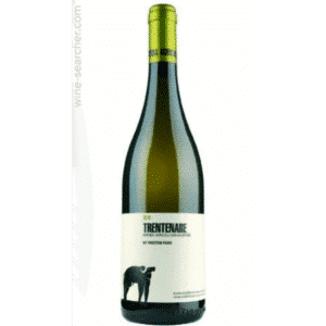 2023 San Salvatore Trentenare Fiano